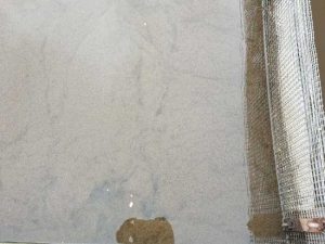 cách kiểm tra bùn vi sinh