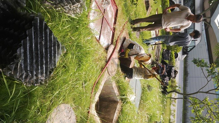 Khôi phục, nâng cấp hệ thống xử lý nước thải Khôi phục, nâng cấp hệ thống xử lý nước thải