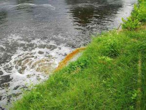 ô nhiễm môi trường nước