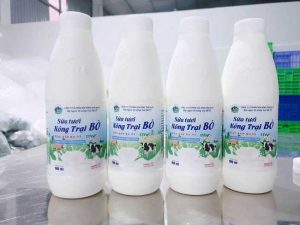 Hệ thống xử lý nước thải nhà máy chế biến sữa xử lý nước thải nhà máy chế biến sữa
