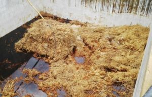 xử lý nước thải nhà máy giấy