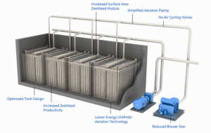 Màng sinh học là gì?