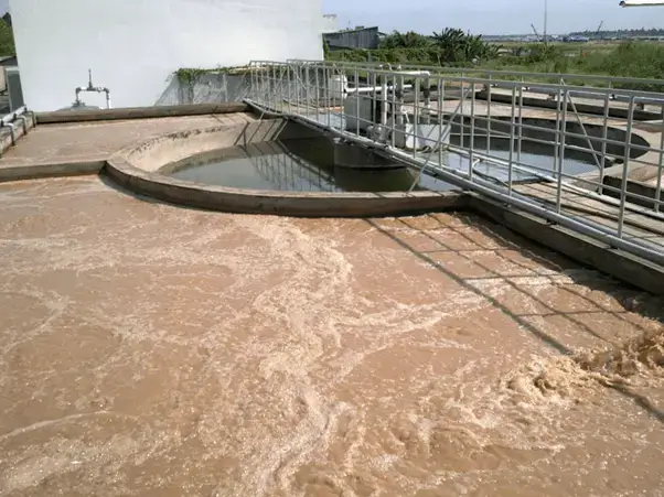 Quy trình xử lý nước thải thủy sản như thế nào