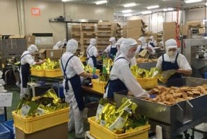 [Giải đáp] Vì sao cần xử lý nước thải bánh kẹo?