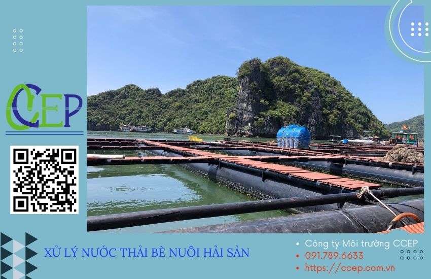 Hệ thống xử lý nước thải nuôi trồng thuỷ sản