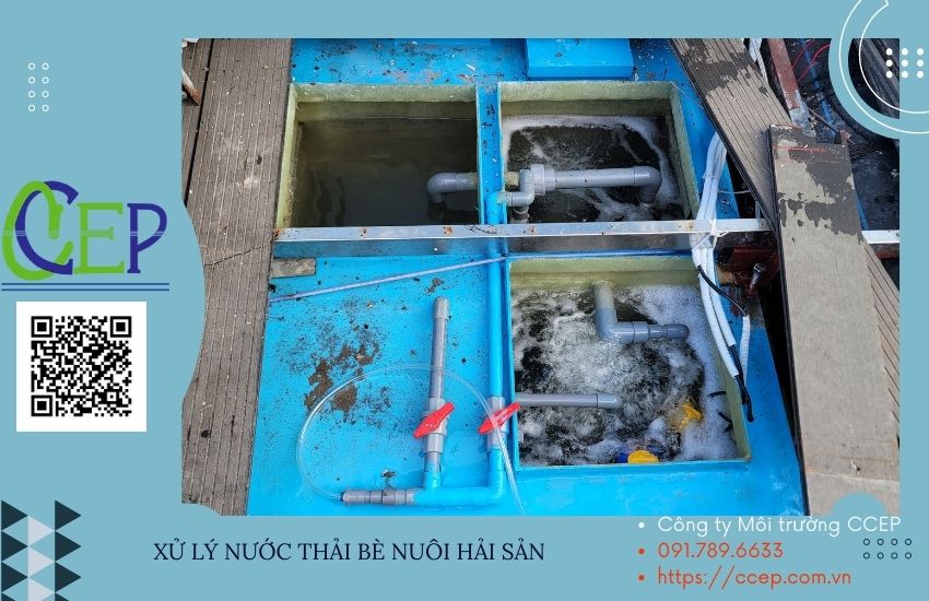 Hệ thống xử lý nước thải nuôi trồng thuỷ sản
